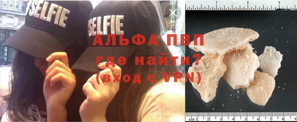 гидра Алексеевка
