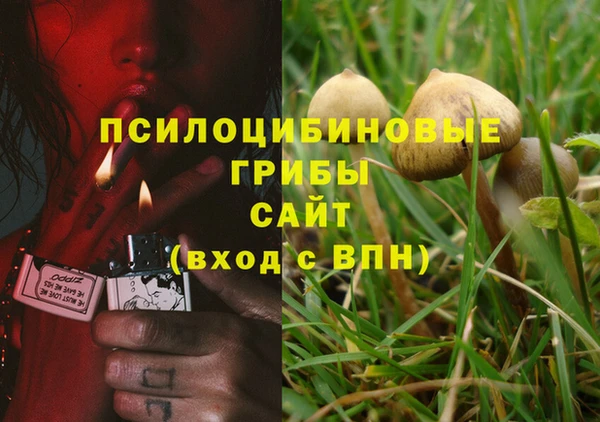 гидра Алексеевка